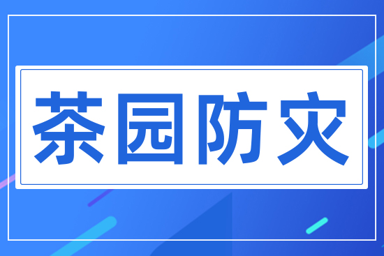 ��@����(z��i)