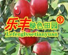 ɽ�|��(l��)�S����Ƽ����޹�˾