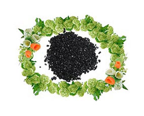 ���ɹŞ����Є�(chu��ng)��ֲ���}�ӹ����޹�˾