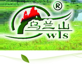 �|�����mɽ���＼�g(sh��)���޹�˾