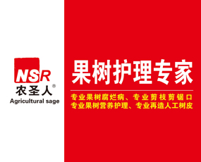 ɽ�|�rʥ������Ƽ����޹�˾