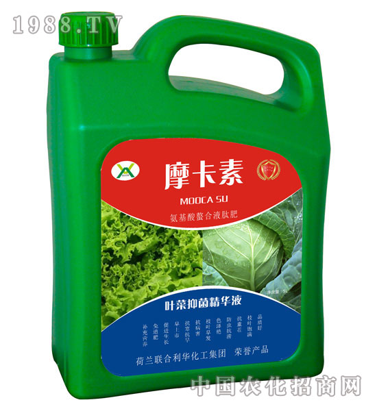 �~���־����AҺ-Ħ����-��о���H