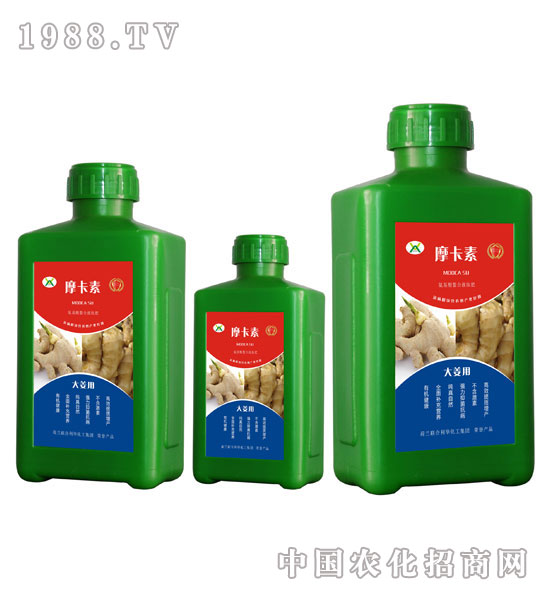 �󽪌��ð���������Һ�ķ�-Ħ����-��о���H