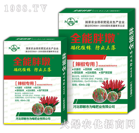 ȫ���ֶ�-������(zhu��n)��-���