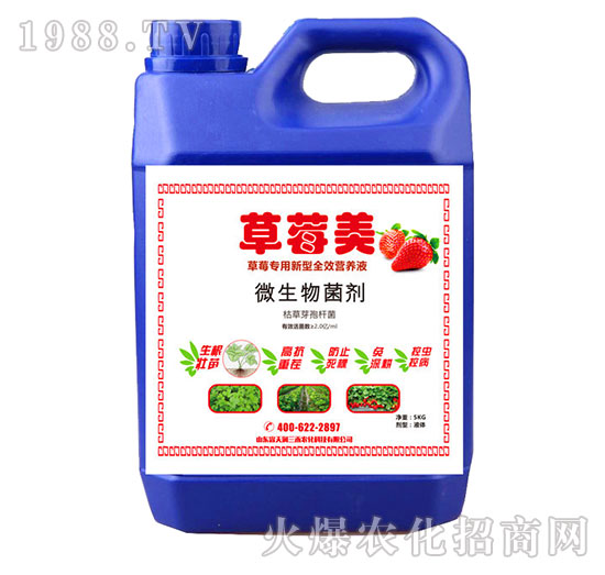 ��ݮ��-��ݮ��(zhu��n)��΢�������-�읙(r��n)����