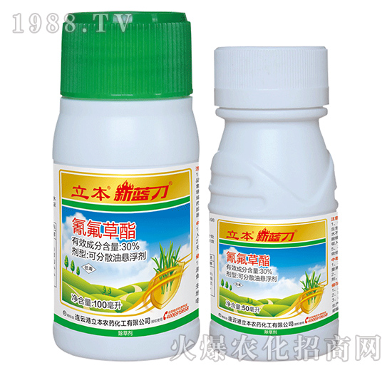 30%�����������-���{(l��n)��-��������