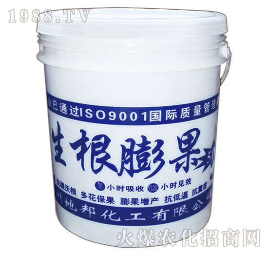 �������-�ذ�Ȫ