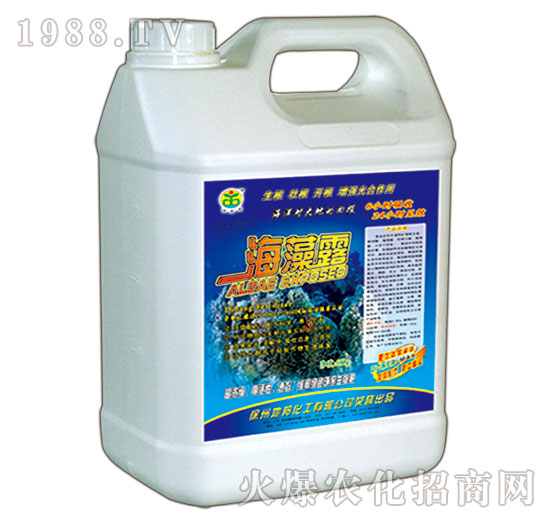 ����¶-�ذ�Ȫ