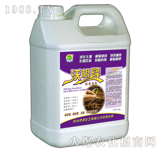 �ָ���-�ذ�Ȫ