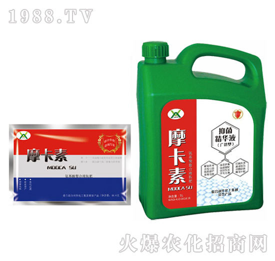 �V�V���־����AҺ���ؼӴ���-Ħ����-��(qi��ng)о���H