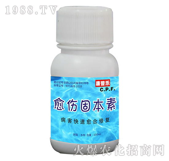 �����̱���-�r(n��ng)�_(d��)����