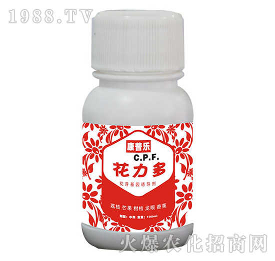 �����ࣨ��ѿ�����T������-�r�_����