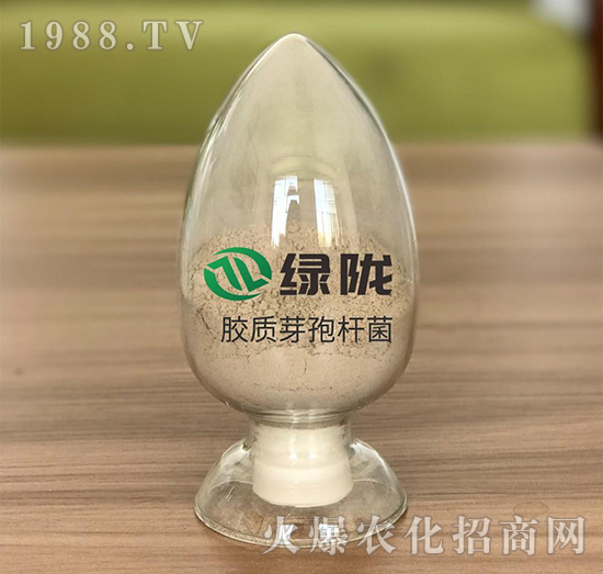 �z����ѿ�ߗU��-�G�]����