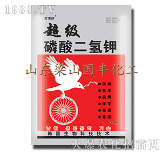 ����(j��)��������-��ɽ��(gu��)�S