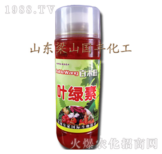 �~�G�أ�ƿ��-��ɽ���S