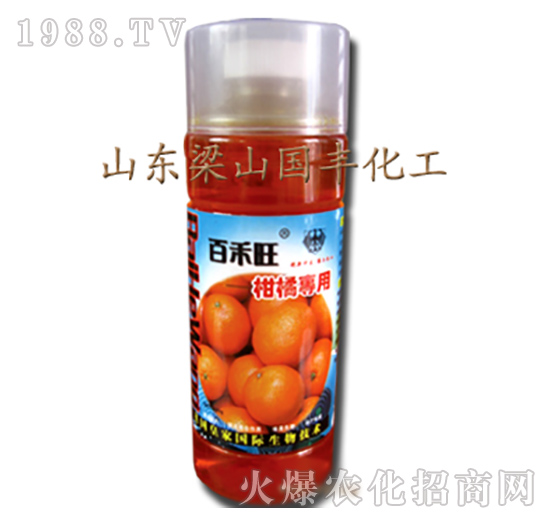 ���ٌ�(zhu��n)���~���-��ɽ��(gu��)�S