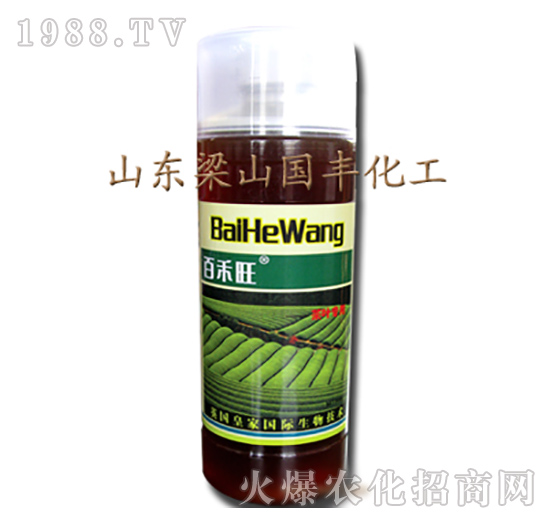 ���~��(zhu��n)���~���-��ɽ��(gu��)�S