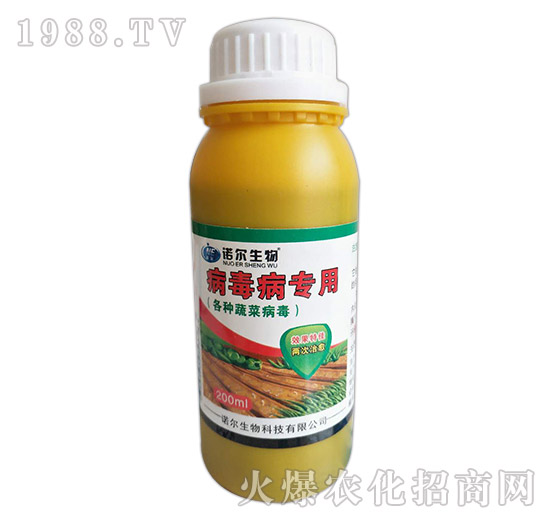 �߲˲���������-�Z������