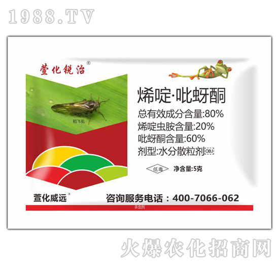 80%ϩड�����ͪ-�滯�J��-�滯���h