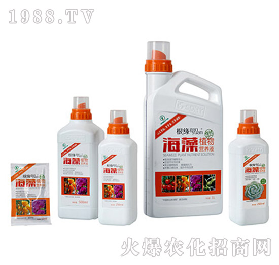 ����ֲ��I(y��ng)�B(y��ng)Һ-����ͨ����