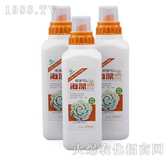 ����ֲ��I(y��ng)�B(y��ng)Һ-���⌣(zhu��n)����