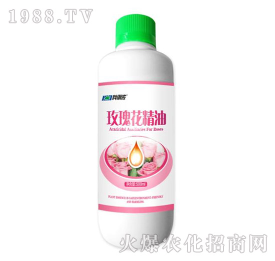 õ�徫��-�����r