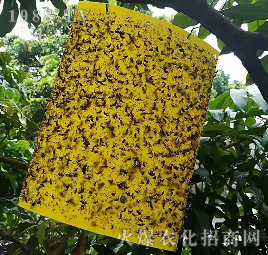 ճ�x��-�����S