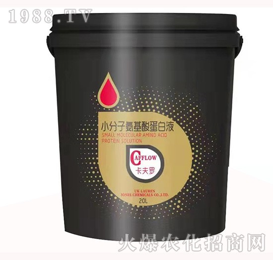 С���Ӱ����ᵰ��Һ-�۰�