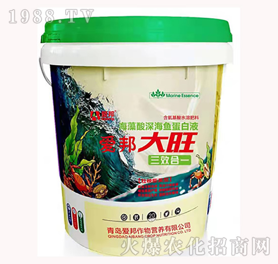 ��������~����Һ-����-�۰�