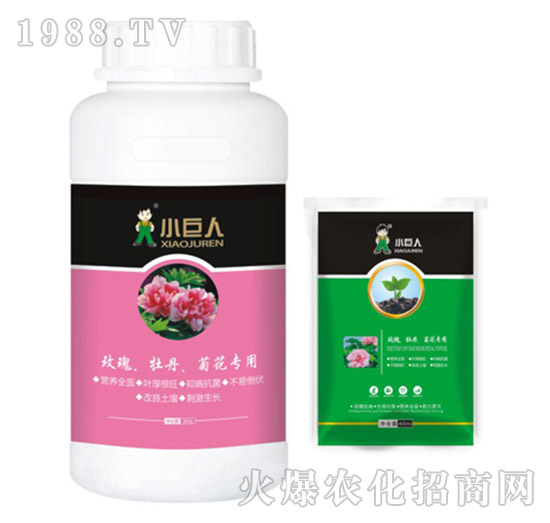 õ����ĵ�����ջ������{(di��o)��(ji��)��-С����