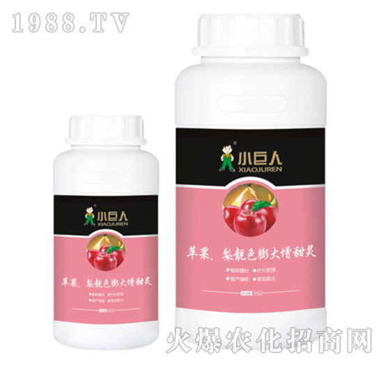 �O�������nɫ��������`�{(di��o)��(ji��)��-С����