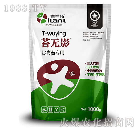 ����̦����-̦�oӰ-ϲ�m��