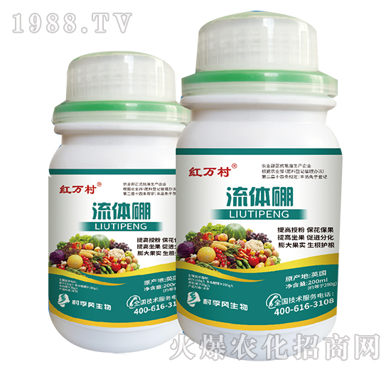 ���w��-���˹����r(n��ng)��