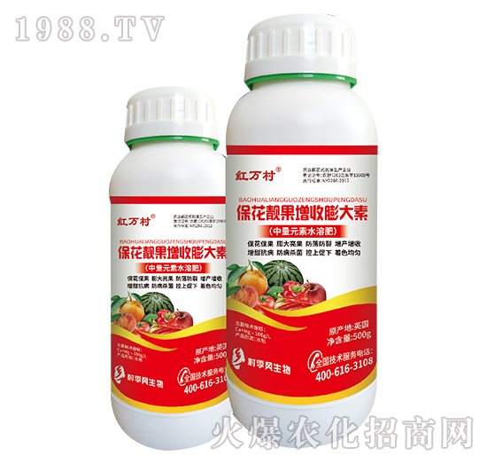 �����n�����������-���˹����r(n��ng)��