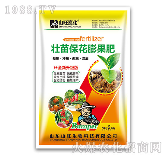 ������������-ɽ������