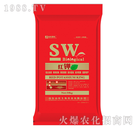 �t�-ɽ������