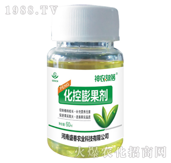 ���������-���r����-ʢ���r�I(y��)