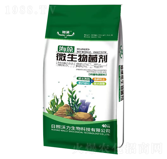 ����΢�������-��������