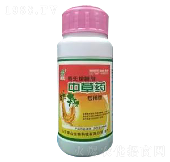 �в�ˎ���÷�-��ɽ����