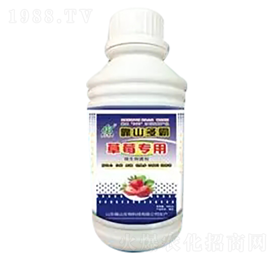 ��ݮ���÷�-��ɽ����