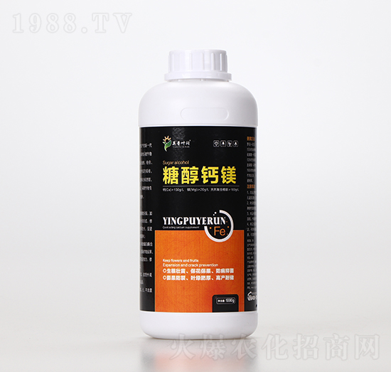 �Ǵ��}�V-Ӣ���~��