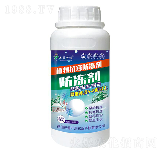 ֲ�￹��������-Ӣ���~��(r��n)