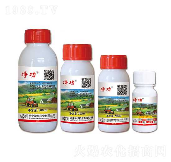 50��ÿ���ʽ�������-����-���A