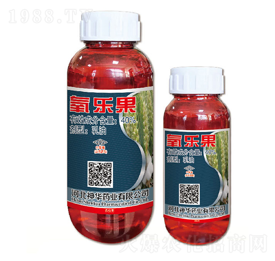 40%������-���A