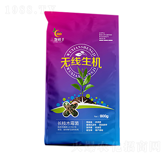 �o�����C(j��)-���w����