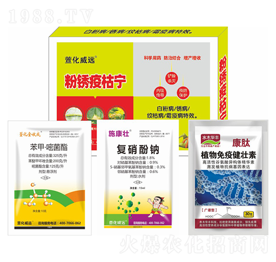 ���P�߿݌�-�滯���h(yu��n)