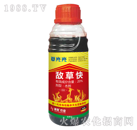 20%���ݿ�-�ݹ��-���