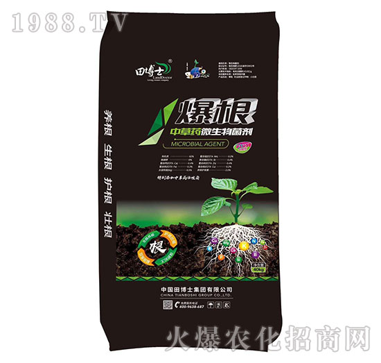 �в�ˎ΢�������-����-�ﲩʿ