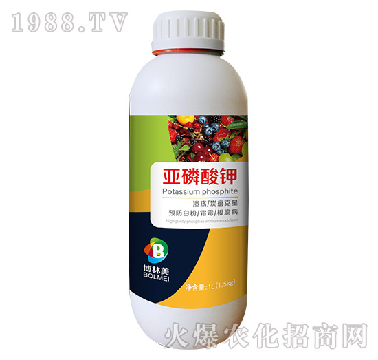 �������-���ƴ�