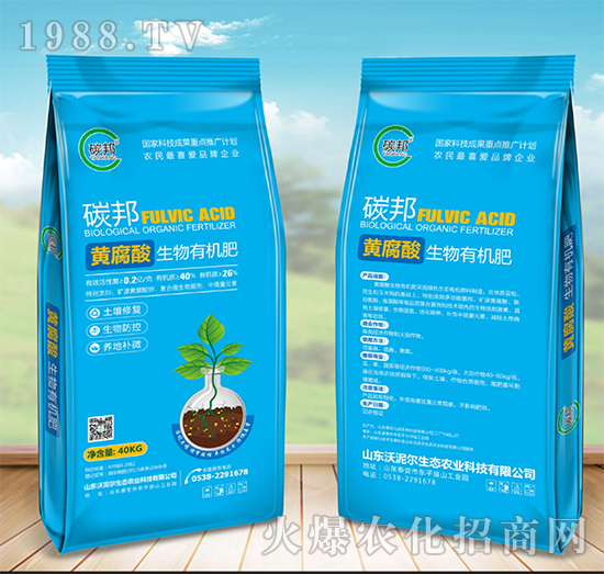 �S���������ЙC(j��)��-̼��-���᠖